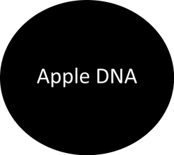Apple DNA | Apple Lincoln Apple Valley in Apple Valley MN
