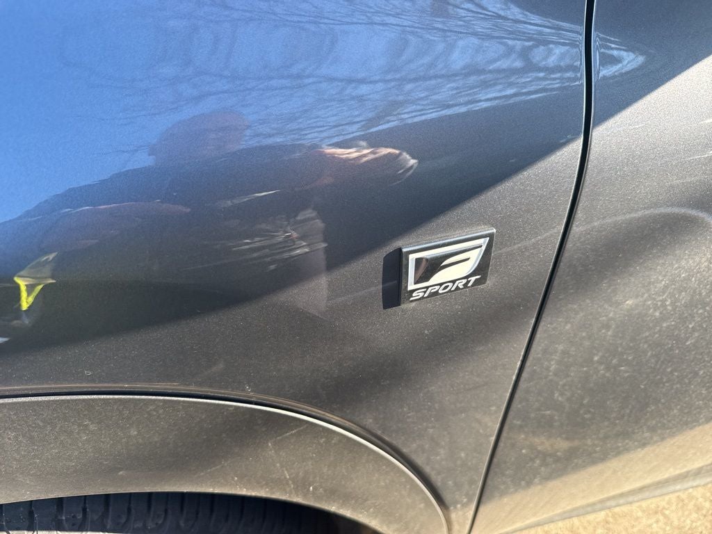 2021 Lexus NX 300 F Sport