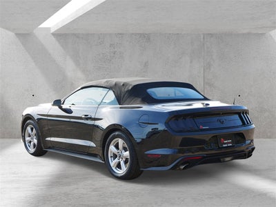2019 Ford Mustang EcoBoost