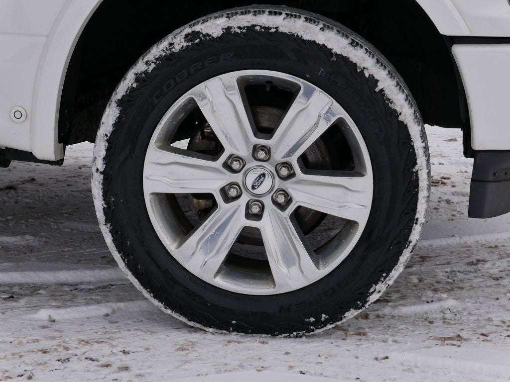 2020 Ford F-150 Platinum