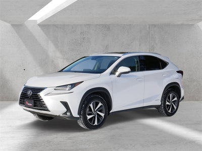 2020 Lexus NX 300h