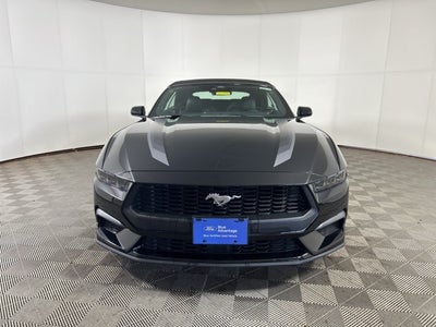 2025 Ford Mustang EcoBoost Premium