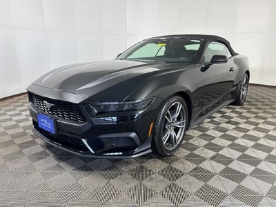 2025 Ford Mustang EcoBoost Premium