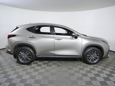 2025 Lexus NX 250 Base
