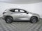 2025 Lexus NX 250 Base
