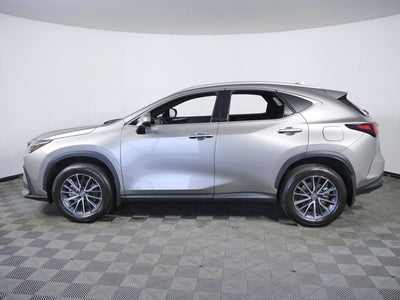 2025 Lexus NX 250 Base