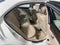 2014 Mercedes-Benz E-Class E 250 BlueTEC®