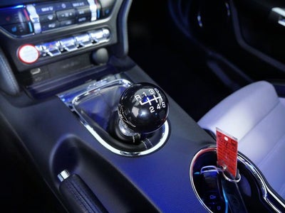 2015 Ford Mustang GT 50 Years Limited Edition