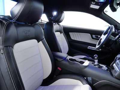 2015 Ford Mustang GT 50 Years Limited Edition