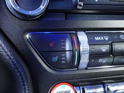 2015 Ford Mustang GT 50 Years Limited Edition