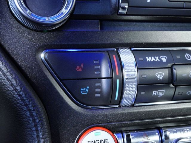 2015 Ford Mustang GT 50 Years Limited Edition