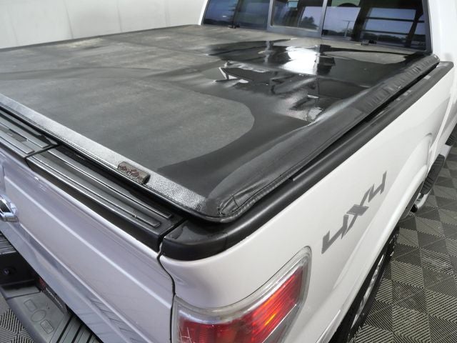 2010 Ford F-150 Base
