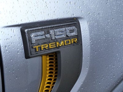 2024 Ford F-150 Tremor