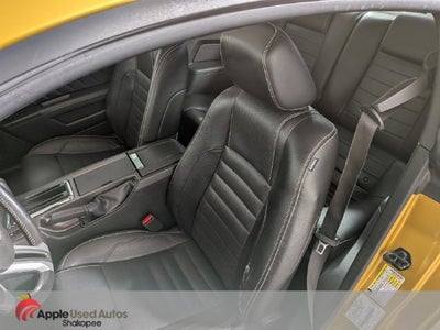 2010 Ford Mustang V6 Glass Pony