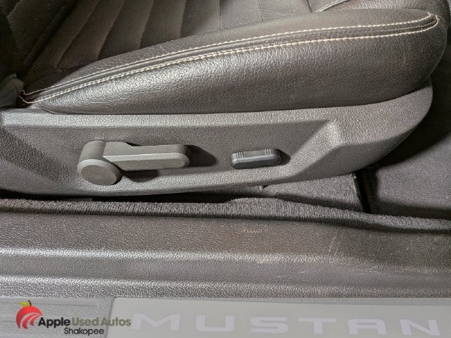 2010 Ford Mustang V6 Glass Pony