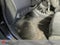 2009 Nissan Versa 1.8 S