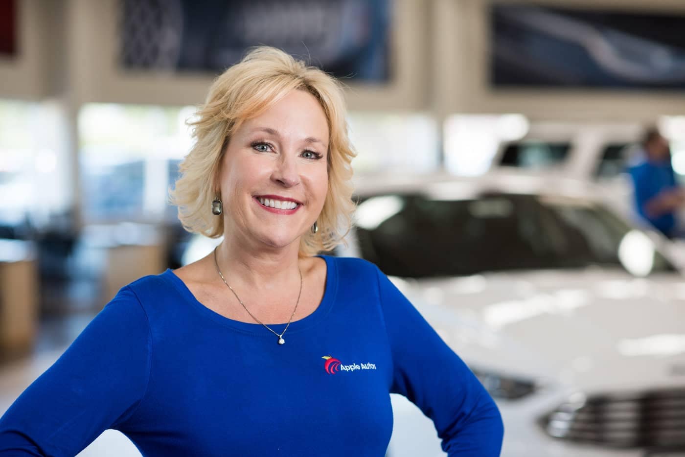 Apple Lincoln Apple Valley in Apple Valley MN